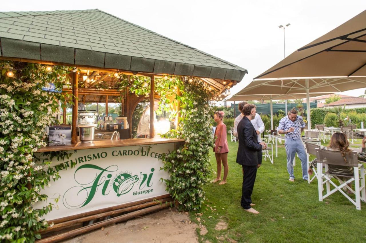 Fiori Di Cardo - Agrimare * Cervia